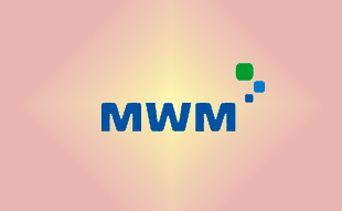✓ MWM 12403005 Запчасть Deutz 